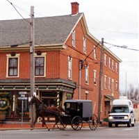 Amish Country Train Ride & Bird-in-Hand 25